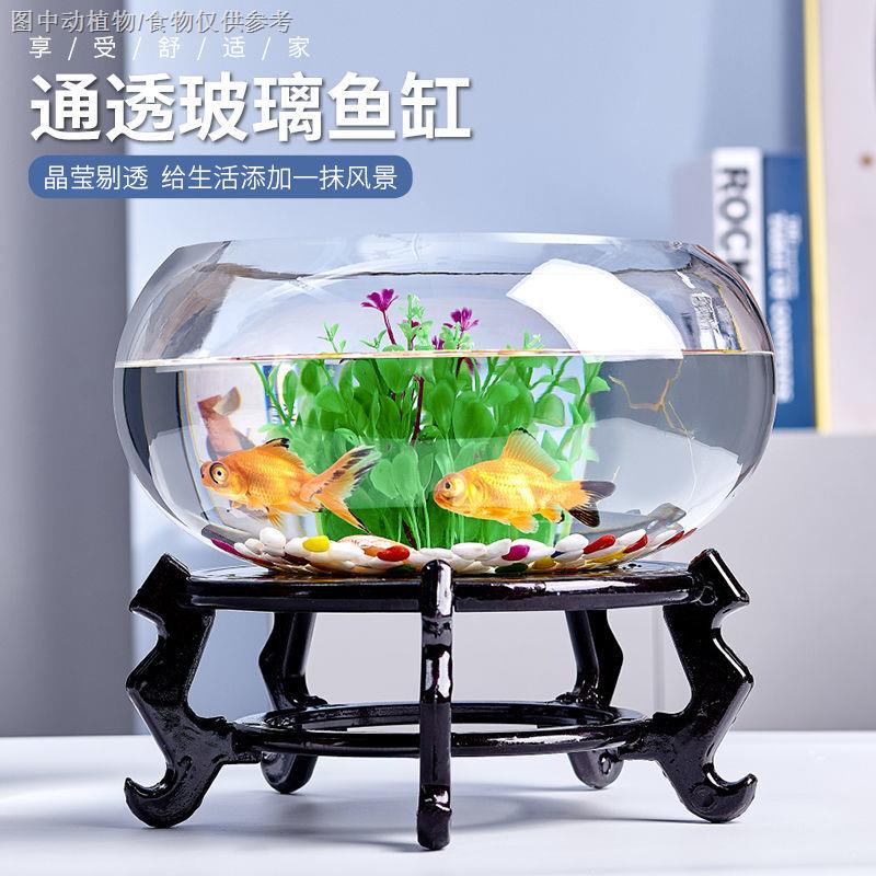 【玻璃魚缸】【透明圓缸魚缸】創意水族箱生態圓形玻璃金魚缸 迷你小型造景水培花瓶大號烏龜缸