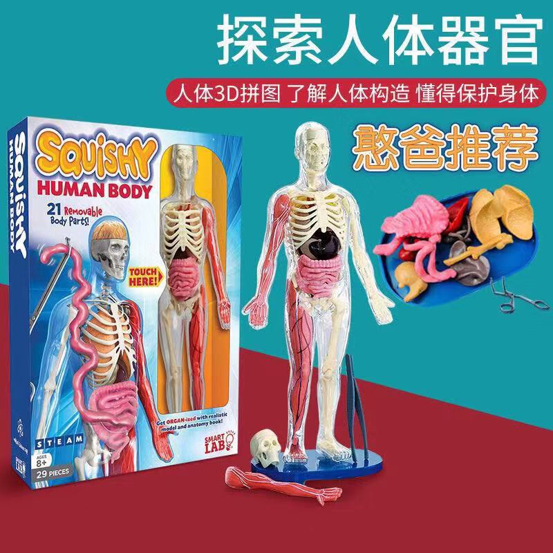 squishy human body