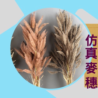 居家裝飾｜模擬麥穗 狗尾草 ins裝飾 擺設 插花 花藝 空間擺設 擺拍 道具 植物擺件 辦公室氣氛 臺灣出貨 永生仿生