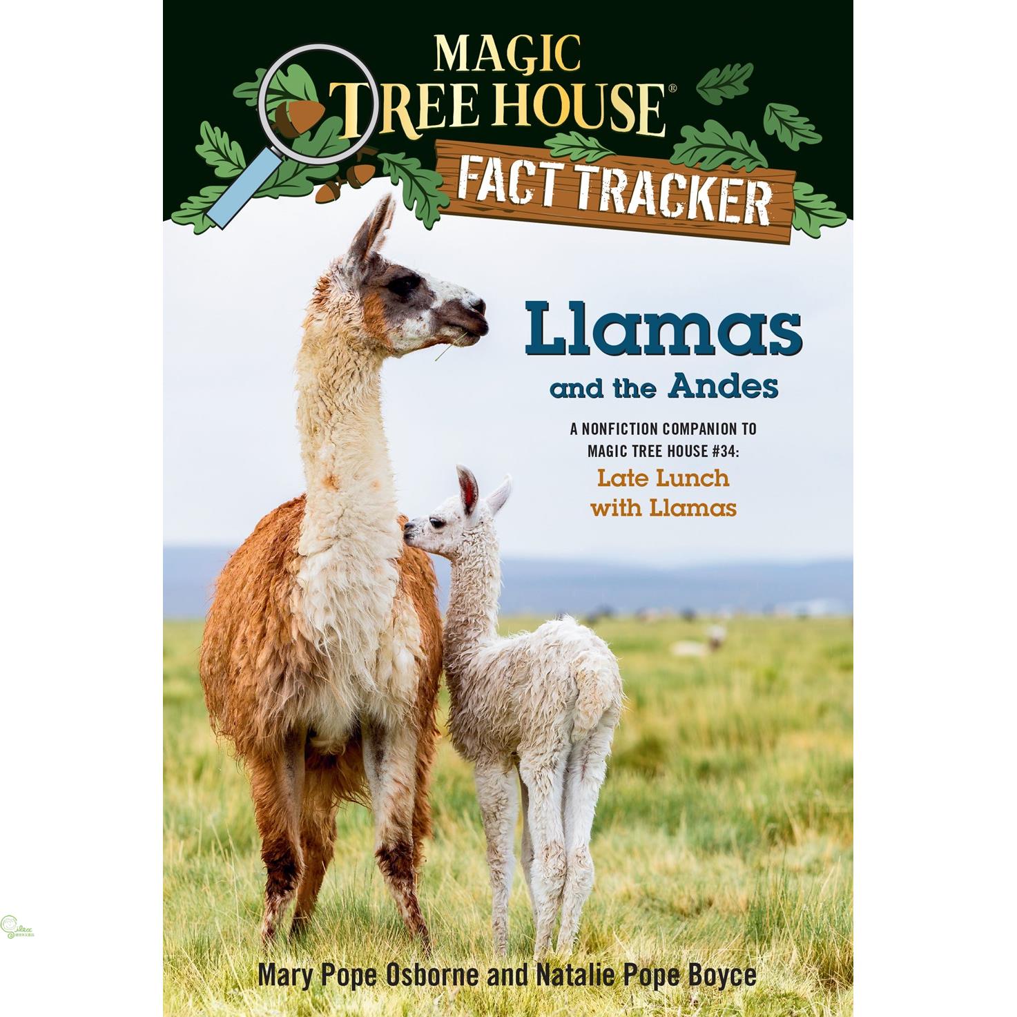 Llamas and the Andes: A Nonfiction Companion to Magic Tree House #34: Late Lunch with Llamas