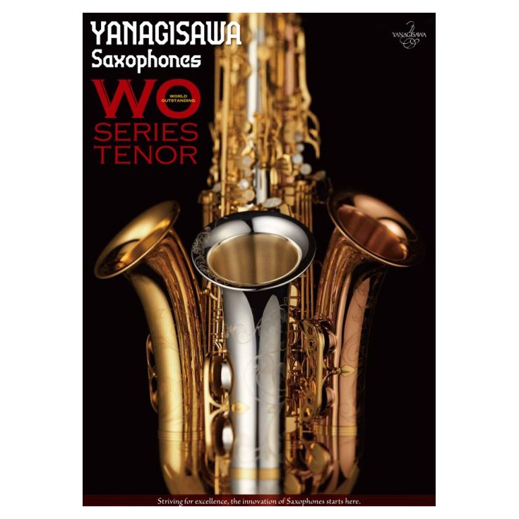 『YANAGISAWA A-WO2 ALTO SAX ．日本製．輕量化』薩克斯風玩家館