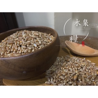 《永泉糧》紅小麥 600g/ 5斤裝 天然穀物 米穀