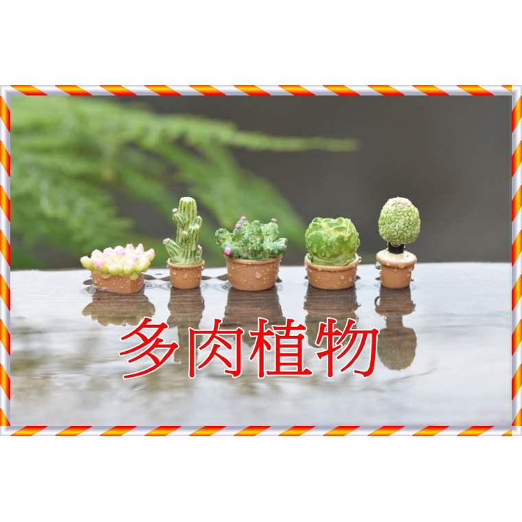 紅50 台中現貨 Diy5款多肉植物植栽盆栽景觀配件苔蘚微景觀 26 蝦皮購物