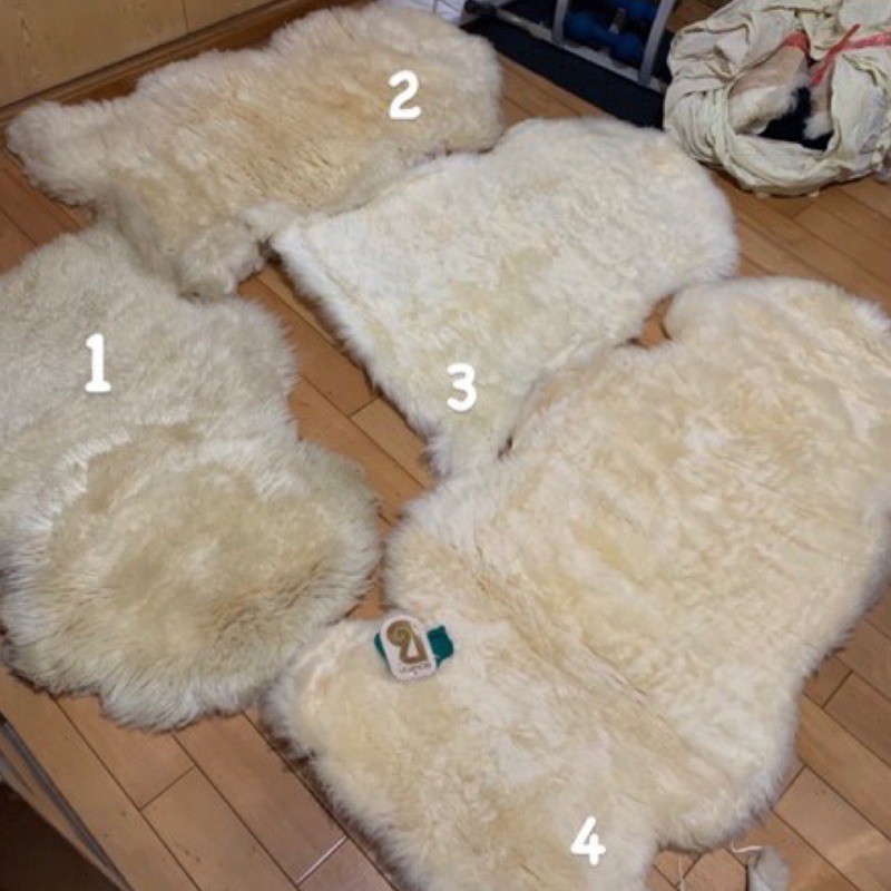 BOWRON 澳洲羊毛地毯