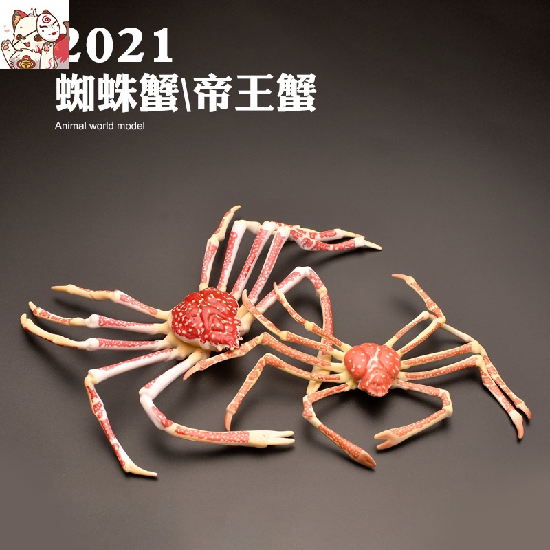 B 兒童禮物模擬海洋海底玩具螃蟹梭子蟹椰子蟹帝王蟹蜘蛛蟹寄居蟹 蝦皮購物