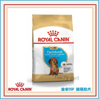 ┌哈利寵物┐皇家 法國皇家 DSP 品種犬專用飼料 (臘腸幼犬) 1.5KG