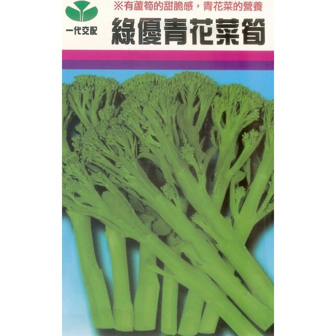 【大包裝蔬菜種子L076】青花菜筍~~非常可口，採收後會不斷再生出側芽，用心種植約60天至80天內可採收10次側芽。