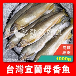 【勤饌好食】台灣 宜蘭 母香魚 6入(1000g±5%/6入/盒)冷凍 6P 香魚 抱卵 爆卵 海鮮 F46E5