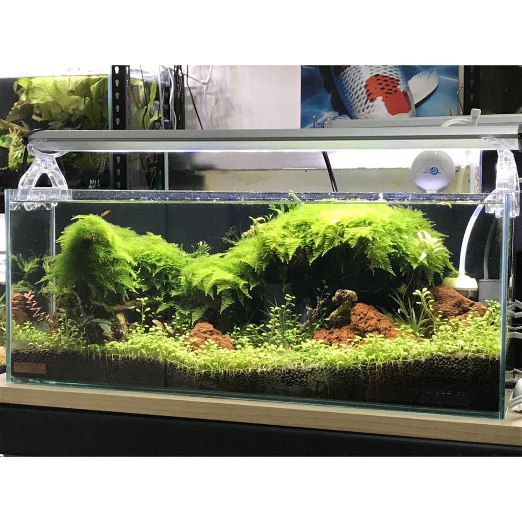 2尺魚缸60 45 拍賣與ptt推薦商品 21年2月 飛比價格