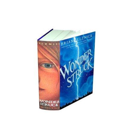 Wonderstruck: A Novel in Words and Pictures