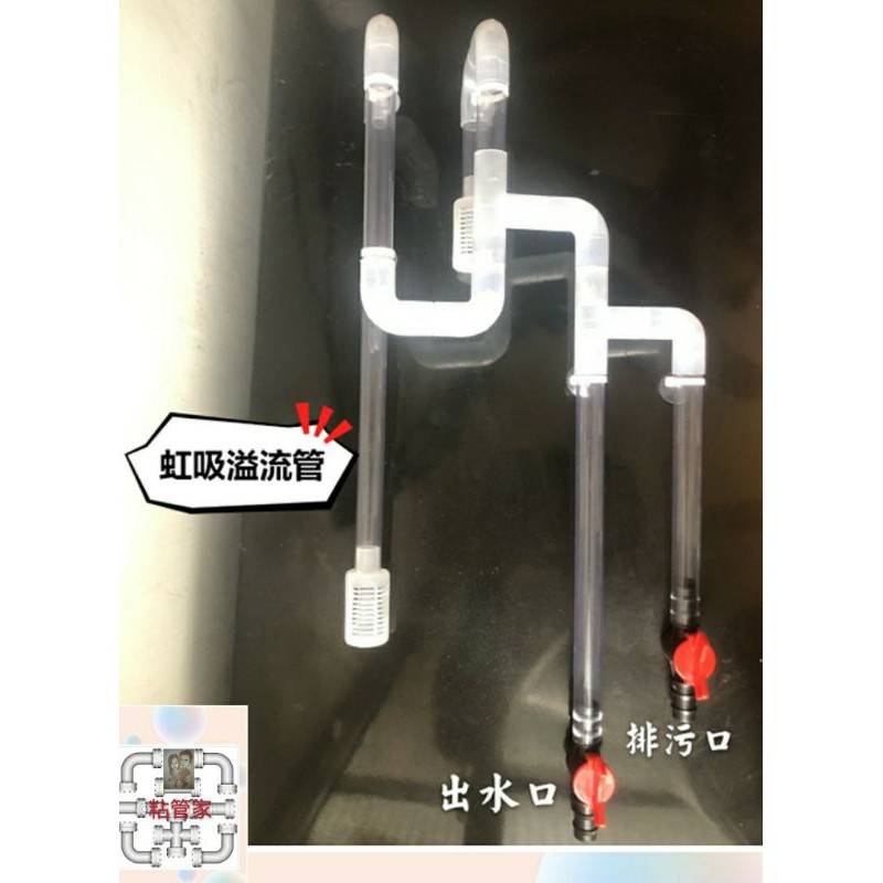 台灣客製商品 魚缸免打孔上濾升級成底濾虹吸溢流管魚缸上下水自主循環過濾水族用品 蝦皮購物