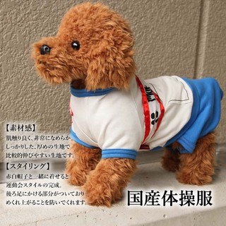 Lucy 露西唱唱跳跳 電子寵物智能狗 蝦皮購物