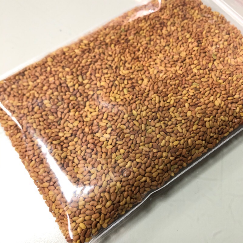 苜蓿芽菜種籽紫花苜蓿10g 30g 無藥劑處理 蝦皮購物