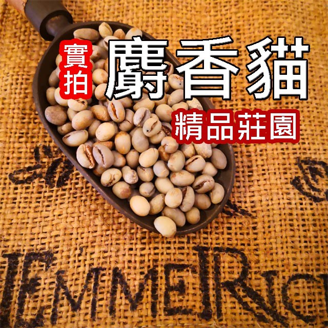 【鮮焙咖啡豆】麝香貓咖啡豆 淺烘焙 精品莊園 單品咖啡 "EmmeRich 自家烘焙"