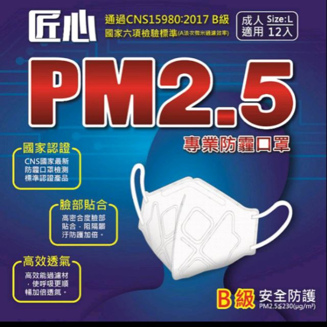 匠心 ~PM2.5 專業防霾成人口罩12入/盒