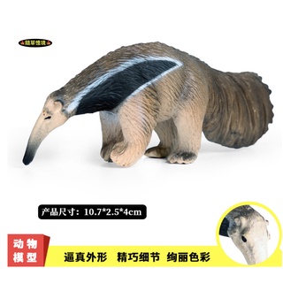 （稀有高品質畫工）模擬 食蟻獸 哺乳動物 動物模型 野生動物 兒童玩具 益智 公仔 SPG