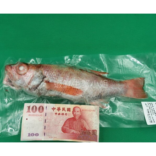 【海鮮7-11】野生紅喉魚  550-600克上/隻 ▶高檔日料店採用魚種 ,量少超稀有**單隻1250元**