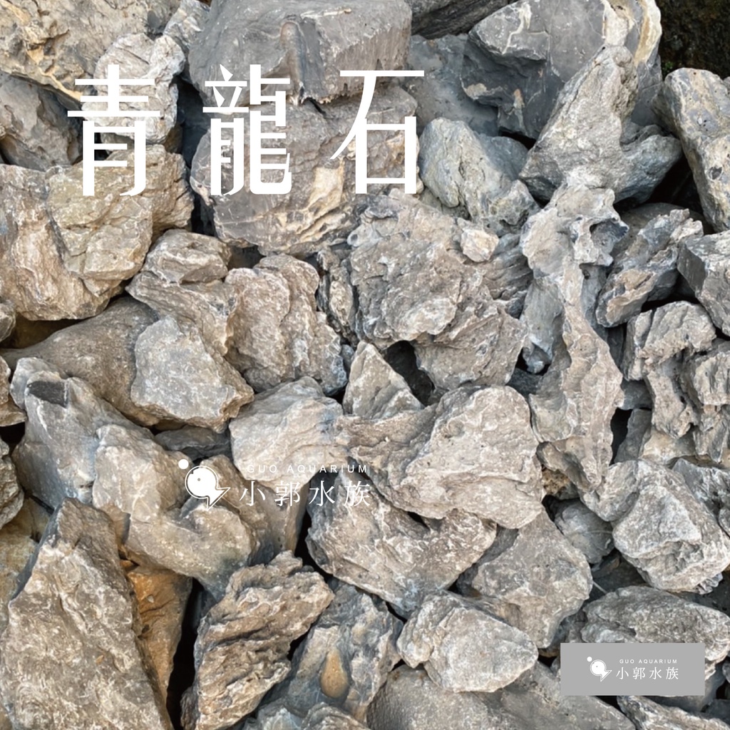 小郭水族-造景 【青龍石 1kg】隨機出貨 水草造景 生態缸