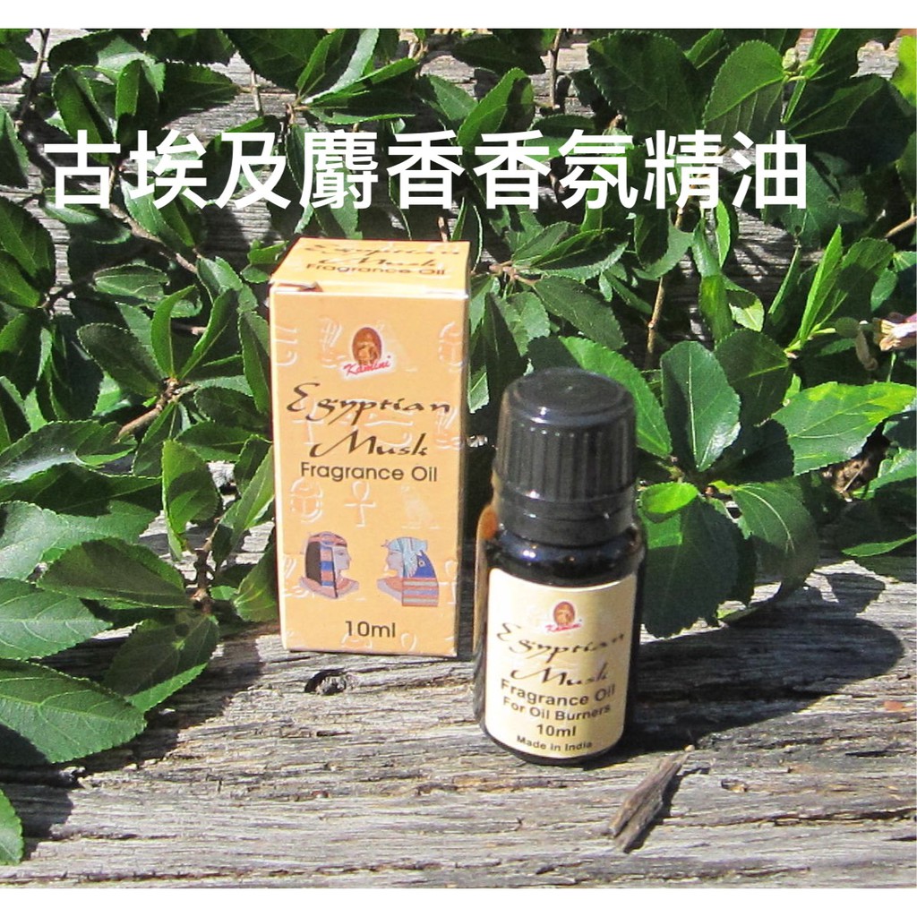 [綺異館]印度香氛精油 - 迷人古埃及麝香 10ml KAMINI Egyptian musk F OIL