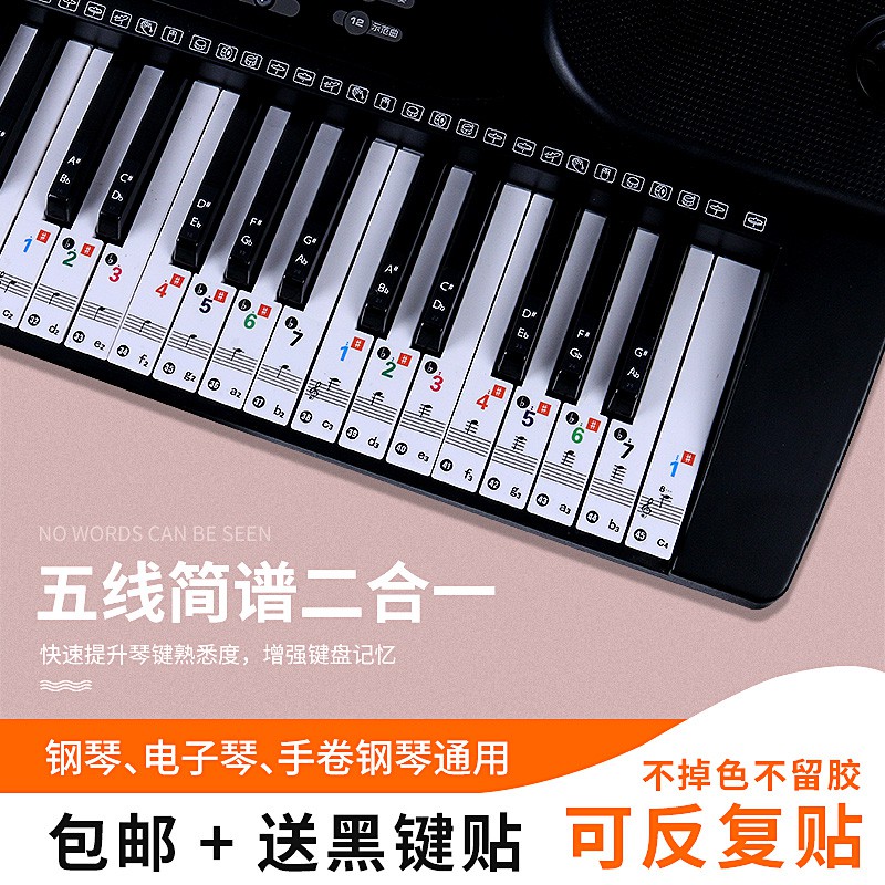 鋼琴鍵盤貼紙鍵61電子琴五線譜簡譜手卷鋼琴鍵盤音階數字音標貼 蝦皮購物