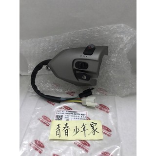 【少年家】PGO 原廠 彪虎 125 150 五期 右手把開關 起動開關 大燈開關 星光灰 故障燈