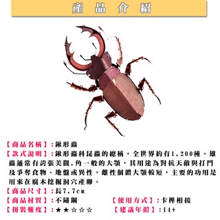 ◎MARS益智玩具◎鍬形蟲(彩色版)◎3D立體金屬拼圖◎創意diy金屬模型◎