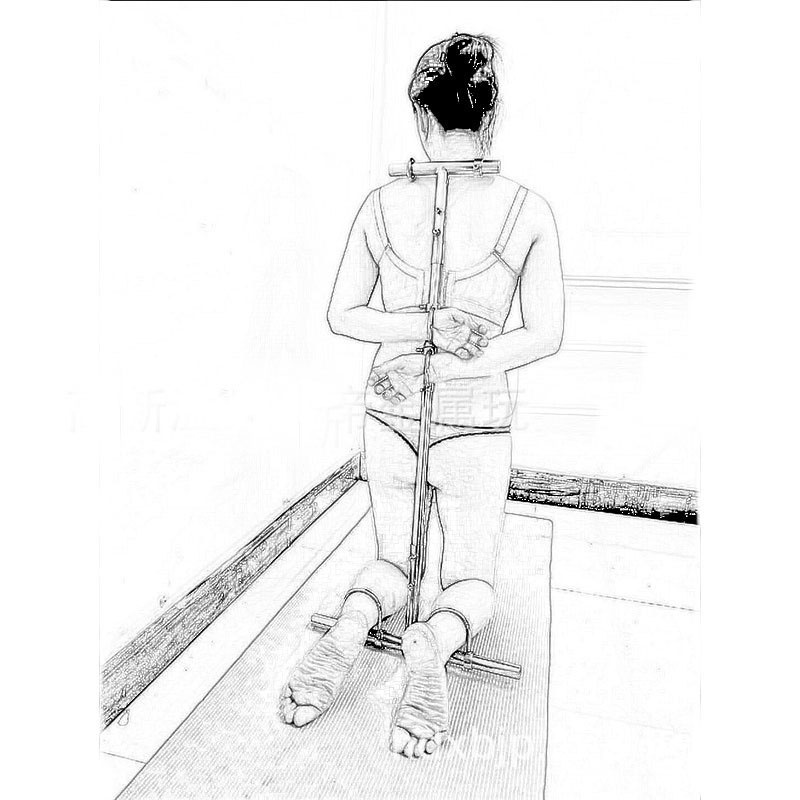 超麗生活館調教狗奴k9固定拘束架金屬束縛男用情趣腳銬腳鐐駟馬器罰跪爬行女 蝦皮購物