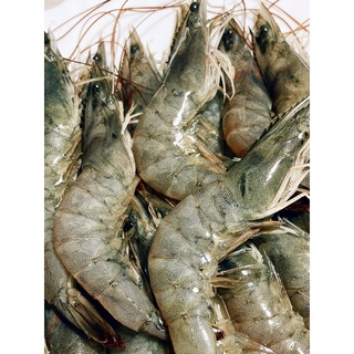 【長河坊】30-40尾/斤 白蝦、蝦子、台灣白蝦、中草藥白蝦、生態蝦