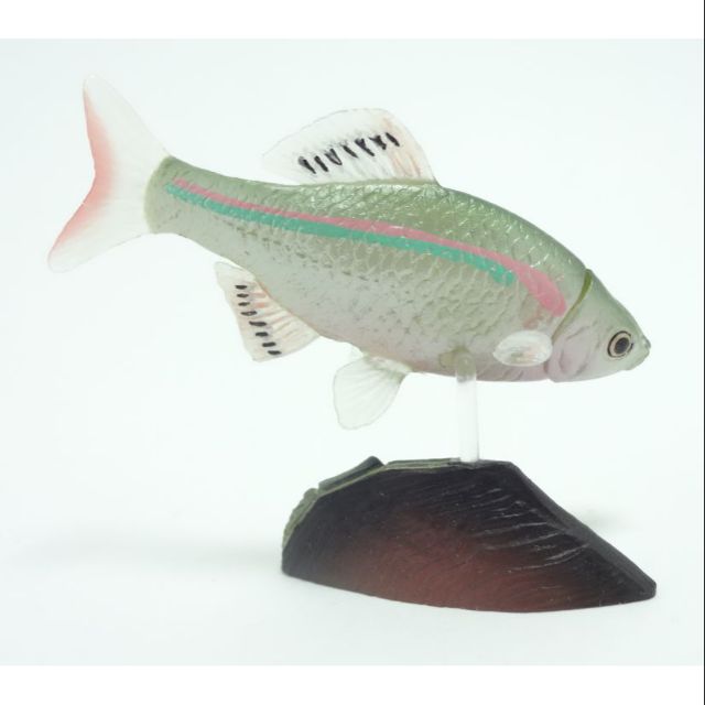 海洋堂日本的動物琵琶湖的價格推薦 年12月 比價比個夠biggo