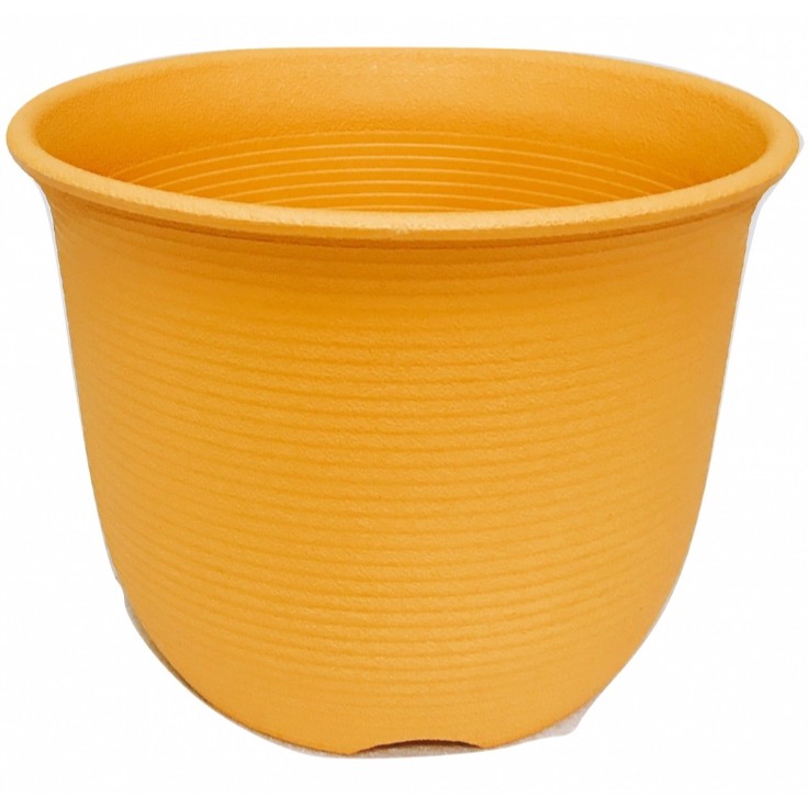 蔬果樂 5吋盆 30天圓磚禪繞畫 痞客邦