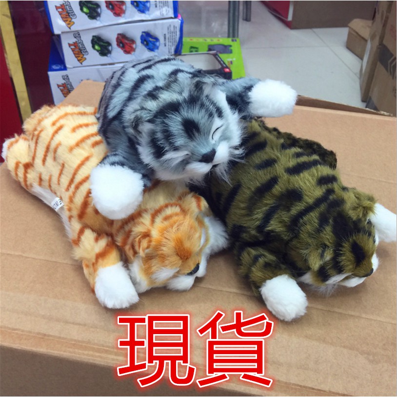 現貨 娃娃 玩具 25cm 電動玩具翻滾貓爆笑貓咪打滚猫娃娃機批發機器貓玩具貓貓奴生日禮物交換禮物 蝦皮購物