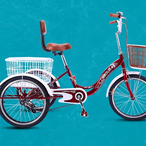 可載人可拉貨人力三輪車 永久三輪自行車人力三輪車老人腳蹬腳踏老年單車輕便小型成年大人 蝦皮購物