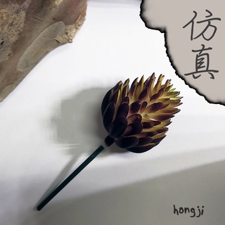 多肉 模擬多肉 微景觀 P31 假多肉植物 辦公室小物 療癒紓壓生日禮物拍照道具居家裝飾咖啡屋商店擺飾迷你木頭底座盆栽
