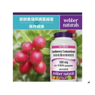 ［COSTCO 好市多 代購］Webber Naturals 蔓越莓濃縮精華膠囊 250粒 #994336