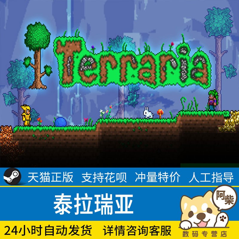 Steam Pc正版遊戲terraria泰拉瑞亞多人聯機 蝦皮購物
