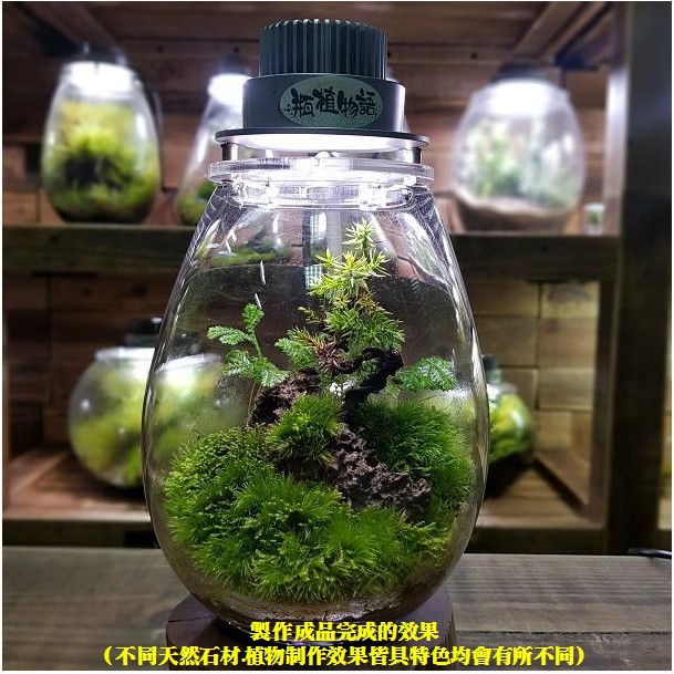 附灯d 25圓款空瓶苔蘚山林微境景觀瓶花盆花器diy苔蘚微景觀生態瓶小品盆栽迷你盆栽 蝦皮購物