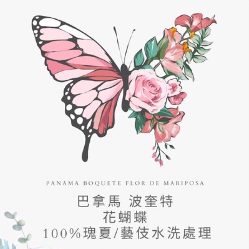 巴拿馬花蝴蝶100 瑰夏水洗藝妓咖啡豆濾掛咖啡 蝦皮購物