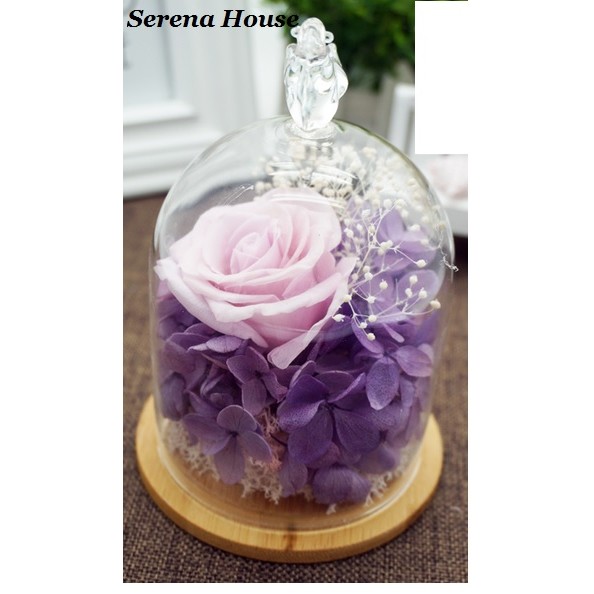 ~Serena House~不凋花 永生花 美女與野獸 母親節禮物 紫玫瑰紫繡球玻璃罩 婚禮小禮 生日禮物