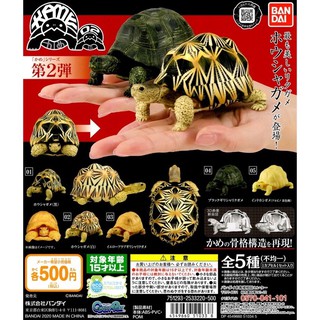 「中古全新」BANDAI 可動烏龜造型轉蛋 02 轉蛋 扭蛋 烏龜 環保扭蛋