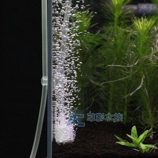 【AC草影】白色圓角氣泡石（2.5cm/三入）【一組】打氣石 氧氣石 魚缸打空氣 增氧石 增加溶氧 GEX 五味 納豆菌