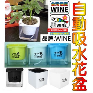 WINE臺灣惟恩 微景觀 雙層 盆栽 花盆 多肉 盆栽 造景 玻璃 玻璃瓶 自動吸水 花瓶 分離盆栽 雙層透明 懶人盆栽