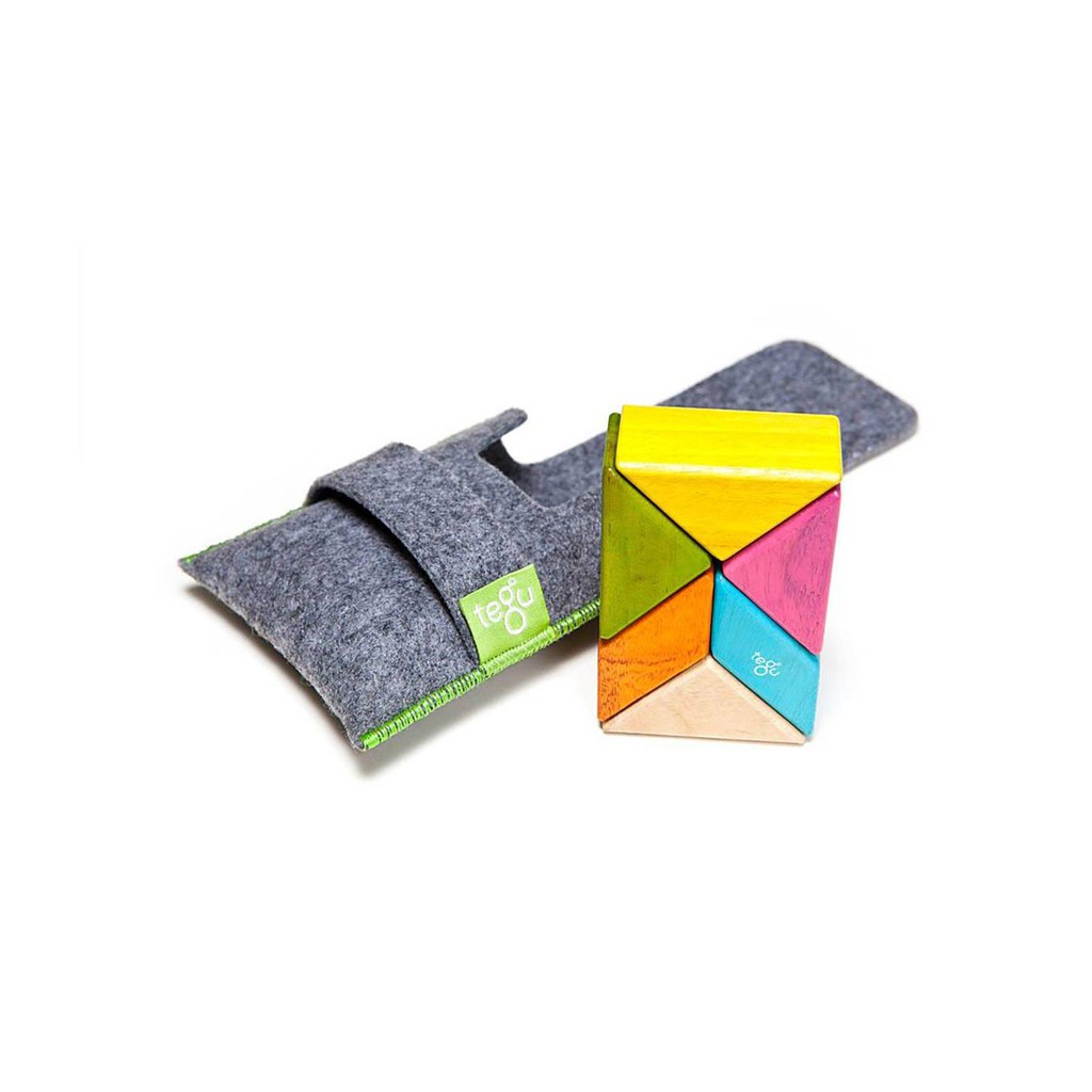 全新正品 美國 Tegu 無毒安全磁性積木 六件口袋組 調色盤 現貨