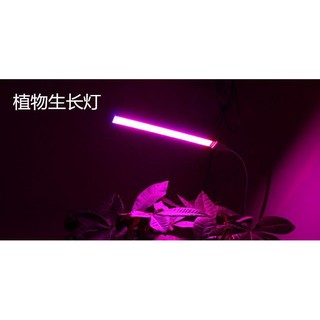 USB LED 植物燈 生長燈 室內仿太陽光補光燈 花卉 LED 植物生長燈