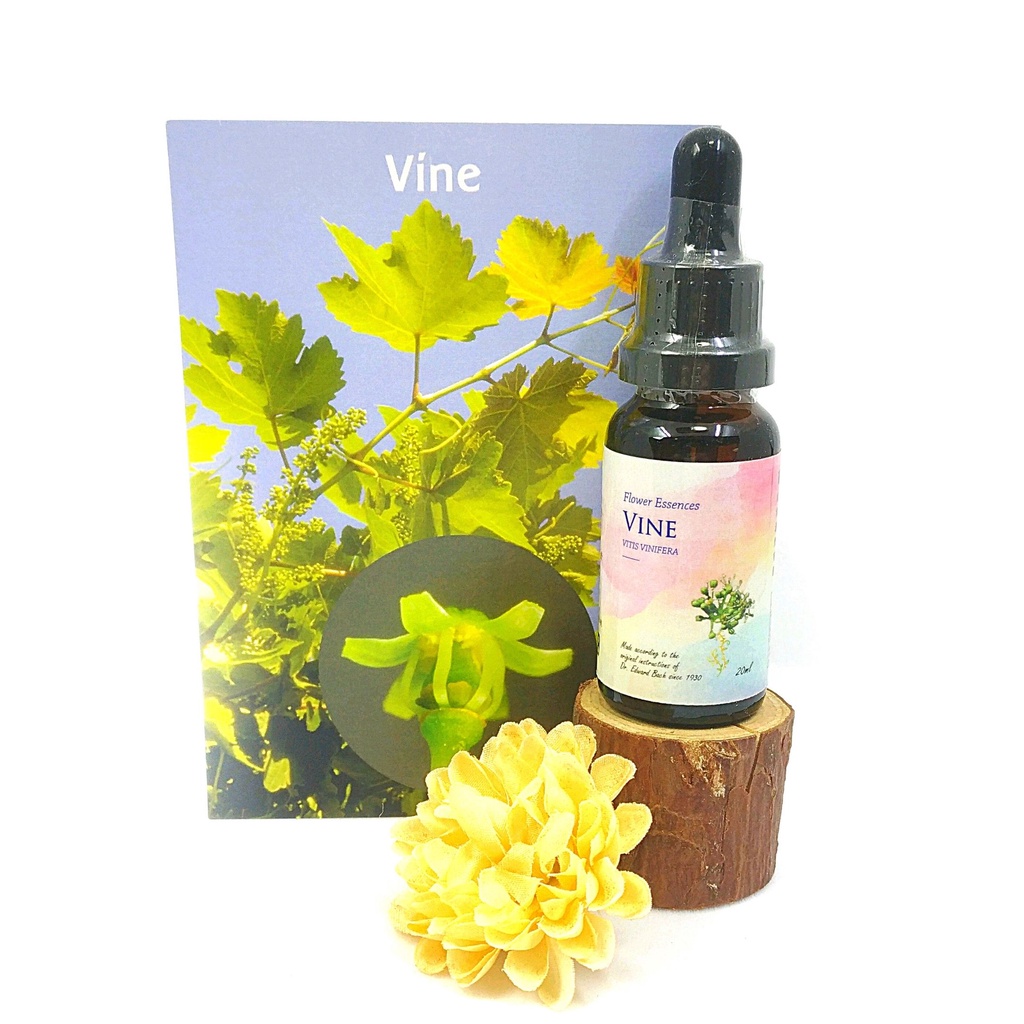 葡萄vine 絕粹巴赫花精bach Flower Essence 30ch 食在自在心空間葡萄藤花精葡萄樹花精 蝦皮購物