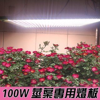 【君沛植物燈】LED植物燈 燈板系列 100瓦 吊掛式 植物燈 加強型 光譜 植物成長專用燈 植物生長燈
