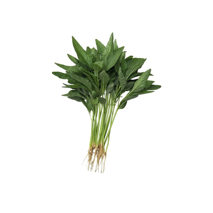 【蔬菜種子S394】尖葉綠莧菜~~耐熱，葉披針型，葉色深綠色，莖葉柔嫩。