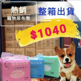 616寵物尿布墊 1.5kg 彩裝 業務型尿布墊【箱購宅配賣場】