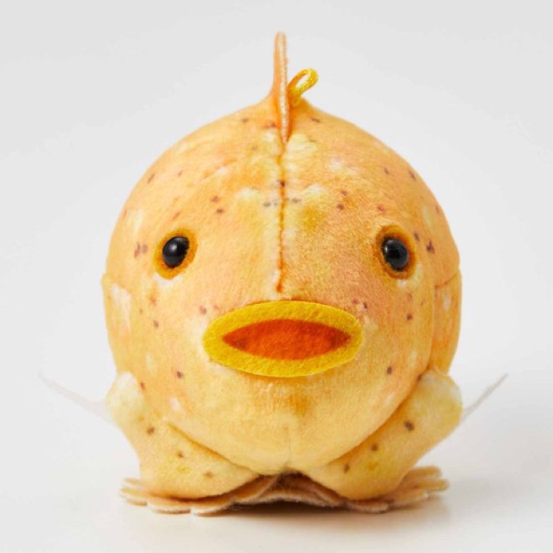 氣球魚的價格推薦 21年11月 比價比個夠biggo