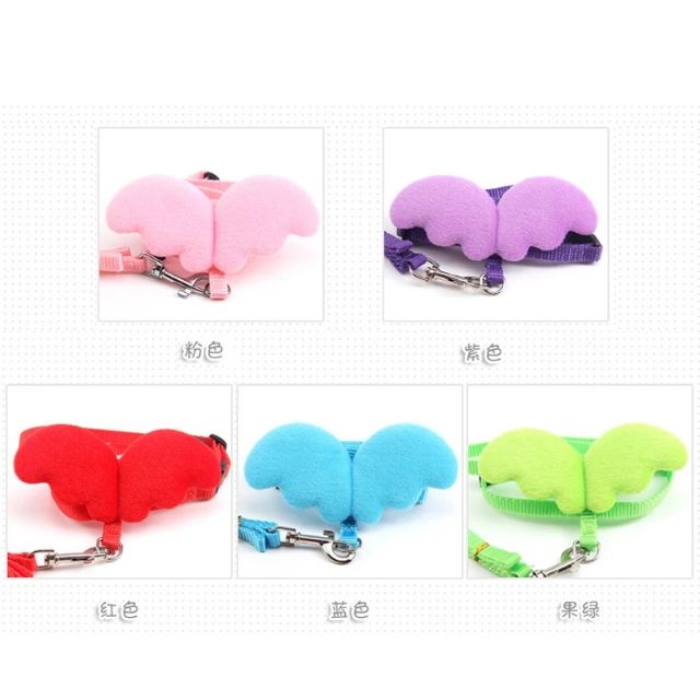 天使翅膀 溜兔繩/溜鼠繩（5色可選）