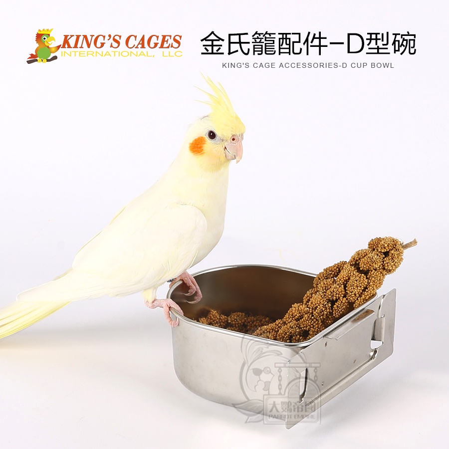 【大鸚帝國】美國金氏KING'S CAGES / 不銹鋼食碗(D型) / 鸚鵡鳥籠配件